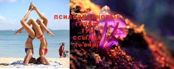хмурый Алзамай