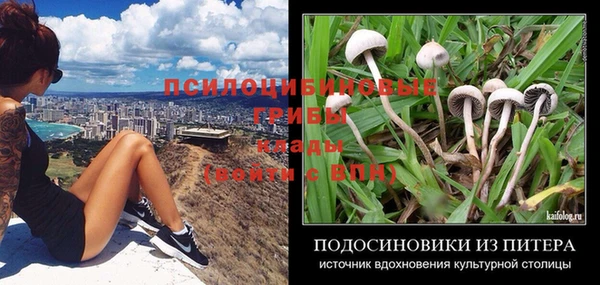 mix Алексин