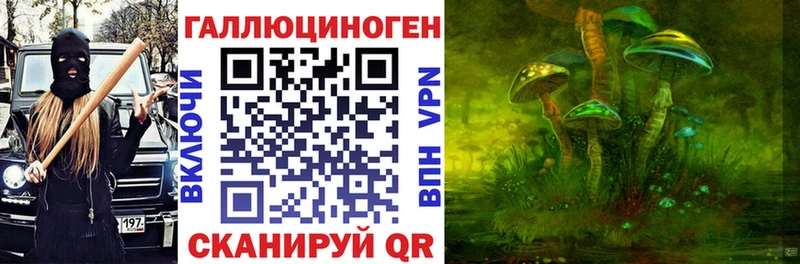 Псилоцибиновые грибы Psilocybe  закладка  Новомичуринск 
